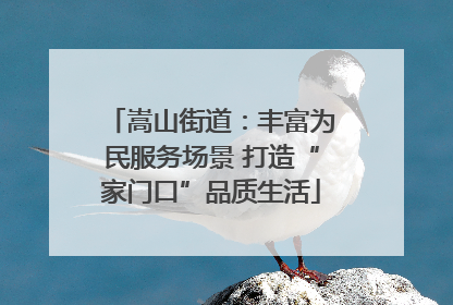 嵩山街道：丰富为民服务场景 打造“家门口”品质生活